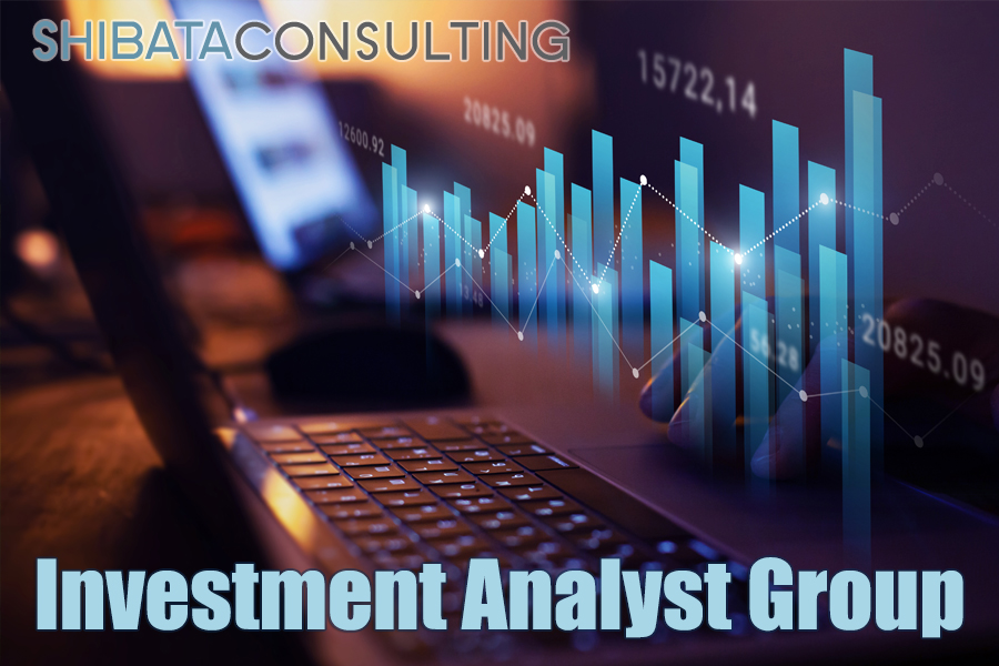 Shibata Consulting Investment Management Group
